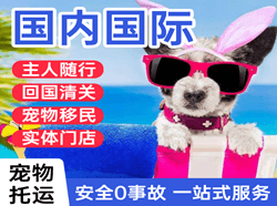乌鲁木齐航空运输国际宠物托运 【国